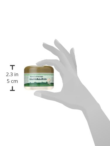 Elizavecca Green Piggy 50% Collagen Cream morning routine shows hydration boost.