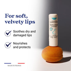 Embryolisse Protective Repair Lip Balm with shea butter and vitamin E ingredients.