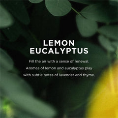 EO Liquid Hand Soap label close-up highlights organic ingredients and gentle cleansing properties.