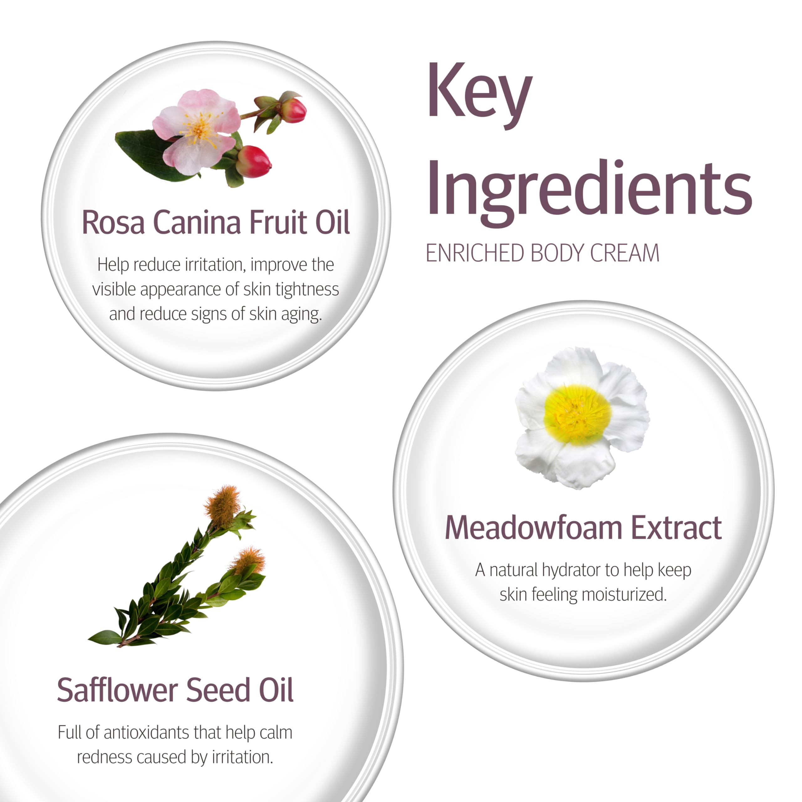 Epionce Enriched Body Cream jar closeup emphasizing rich cream and comfort.
