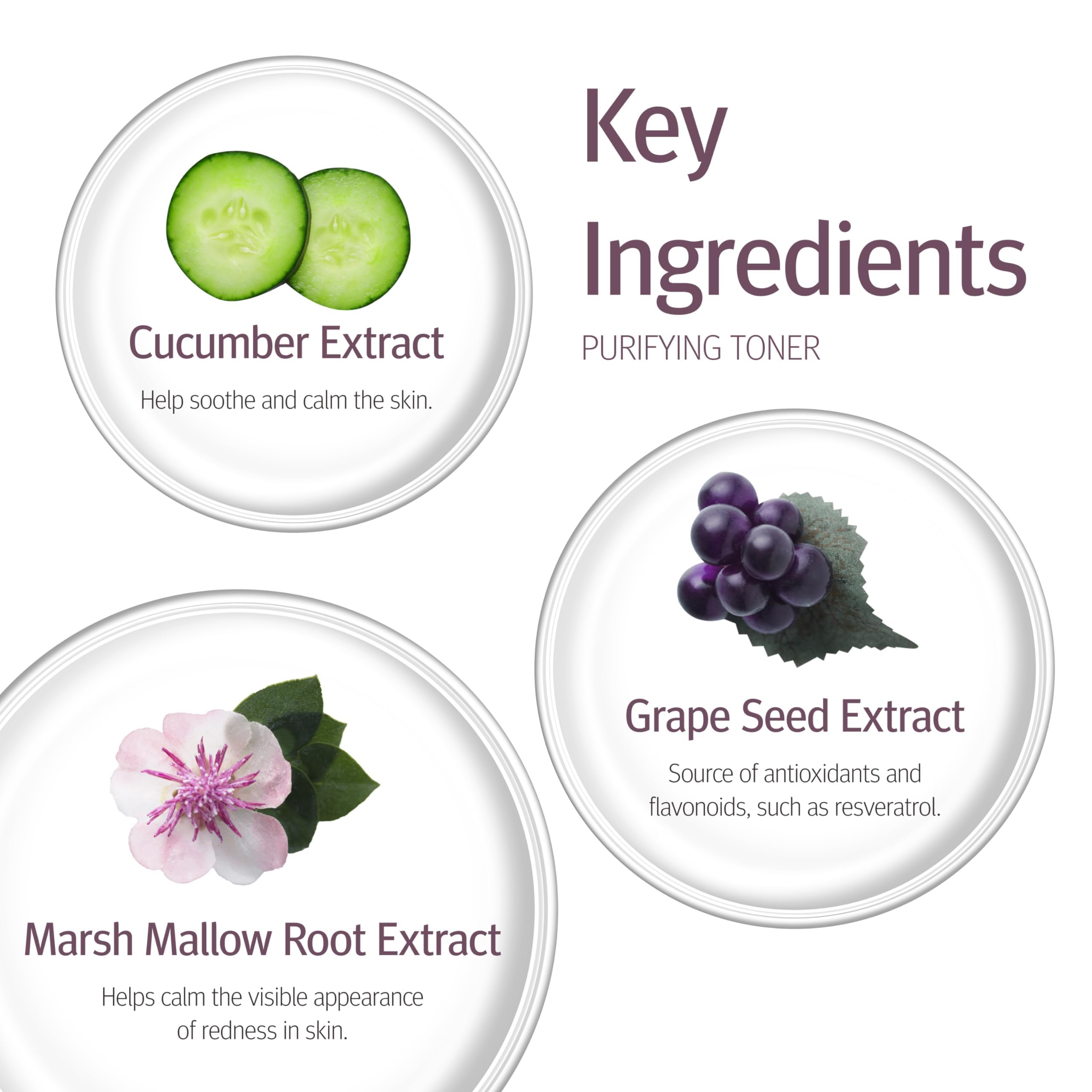 Epionce Purifying Toner willow bark ingredients support gentle cleansing.
