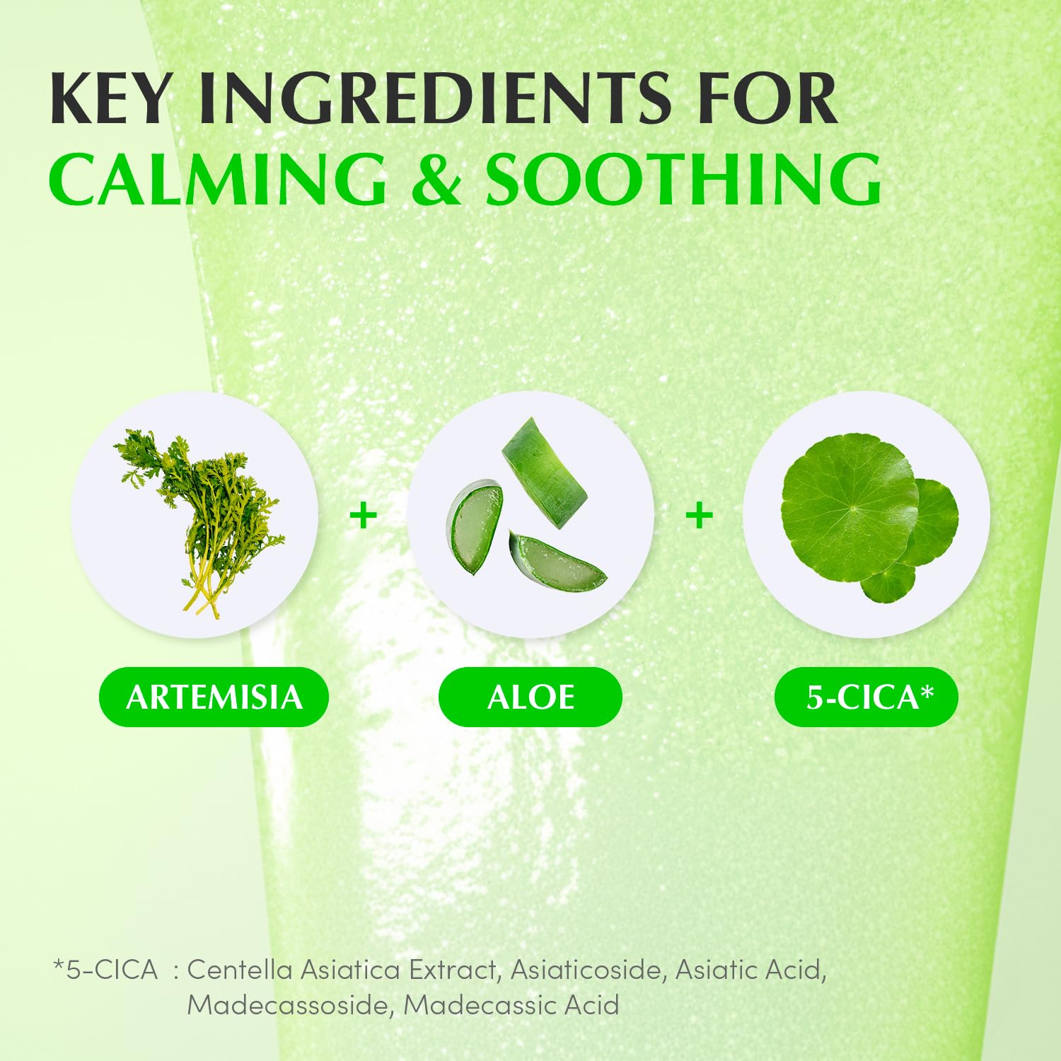 EQQUALBERRY Aloe PDRN packaging box highlights premium Korean skincare.