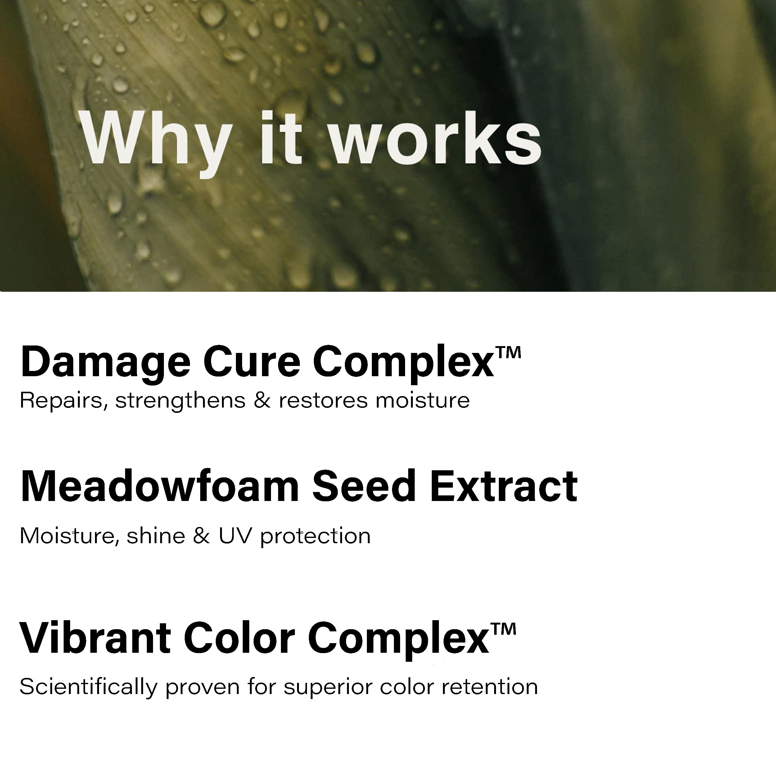 Eufora Bodifying Shampoo shimmer on damp strands indicates shine.
