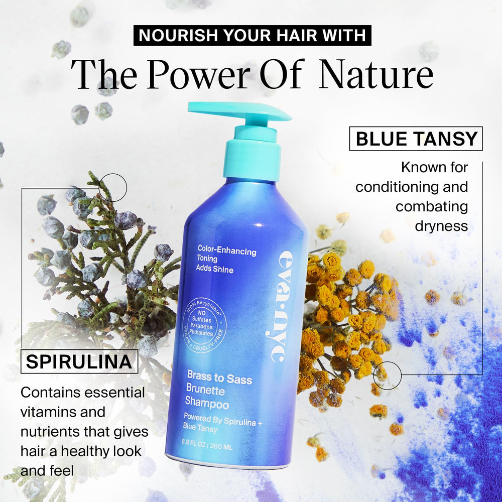Blue Tansy ingredient highlight for conditioning and moisture in Eva NYC shampoo