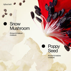 Eva NYC poppy seed oil ingredient boosts moisture in product