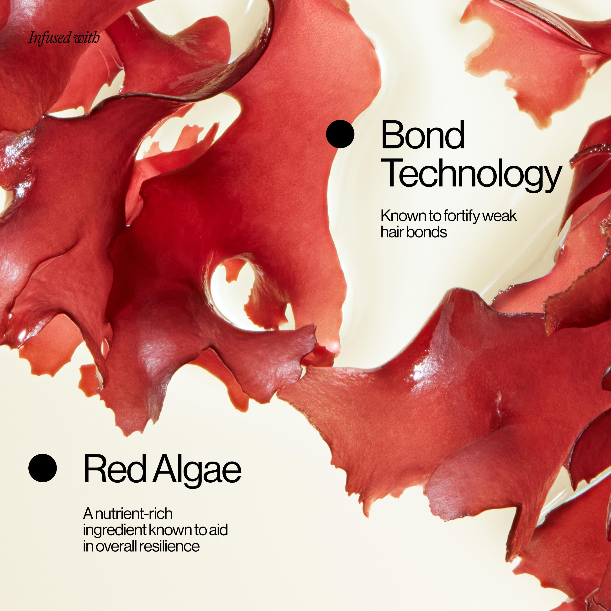 Eva NYC Ritual Repair Shampoo red algae ingredient signaling resilience in this bond strengthening formula