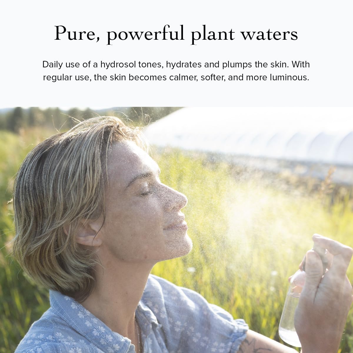 evanhealy Frankincense HydroSoul closeup label — premium steam-distilled hydrosol texture