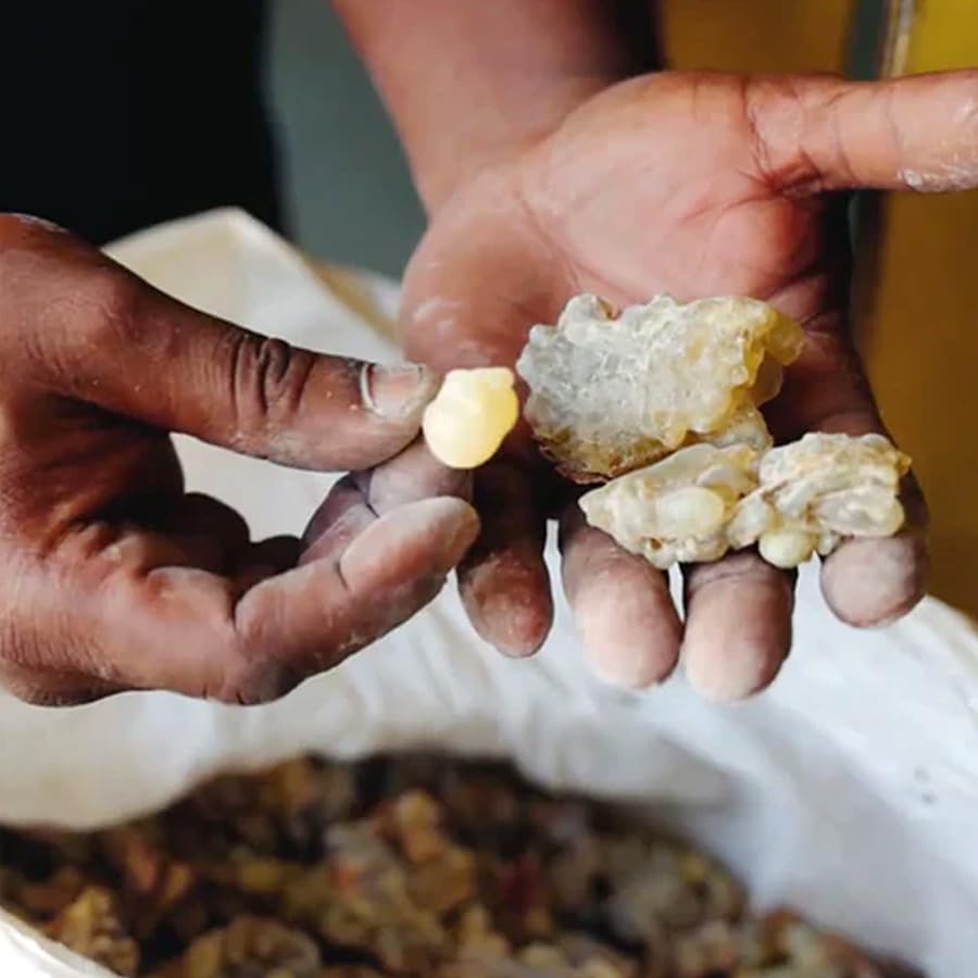 evanhealy Frankincense HydroSoul mature skin focus — supports dehydrated, sensitive complexions
