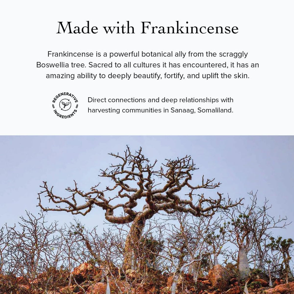 evanhealy Frankincense HydroSoul skin texture closeup — potential refinement of fine lines