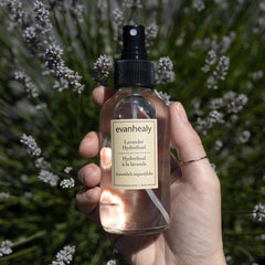 Close-up of Evanhealy Lavender HydroSoul label highlighting organic lavender hydrosol.