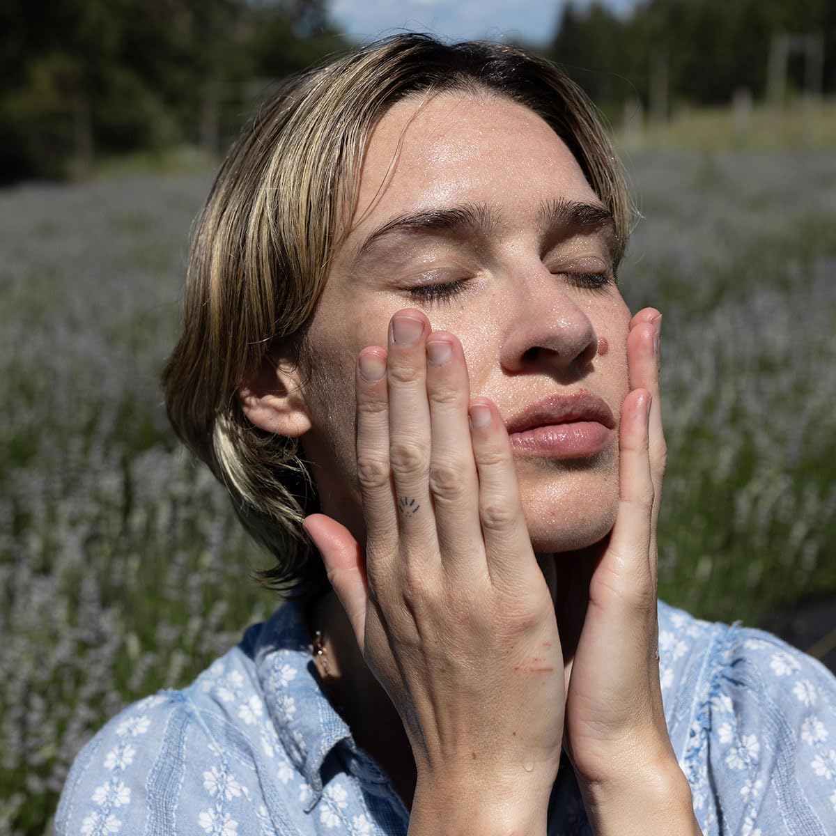 Lavender flowers for Evanhealy hydroSoul create soothing aromatic experience.