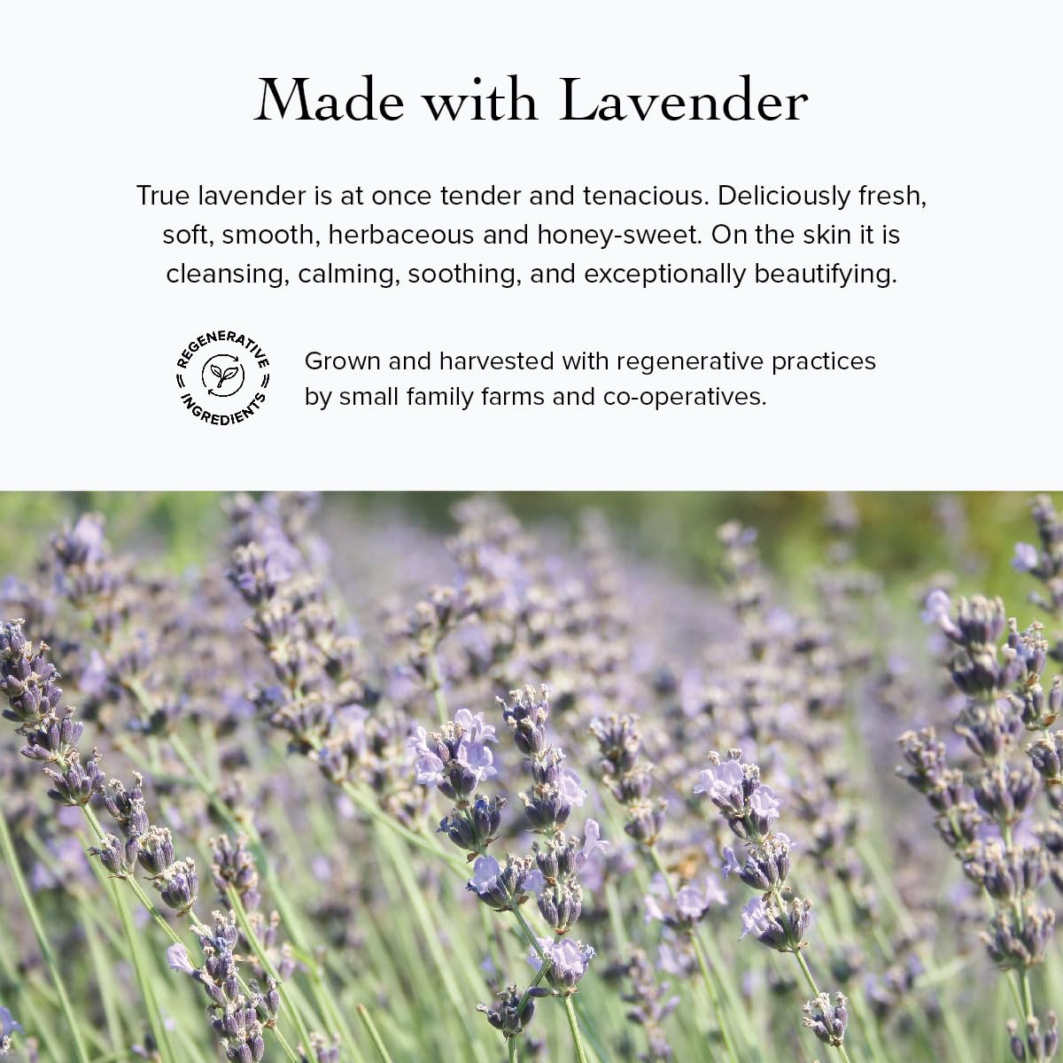 Evanhealy Lavender HydroSoul applied to skin for calming hydration.