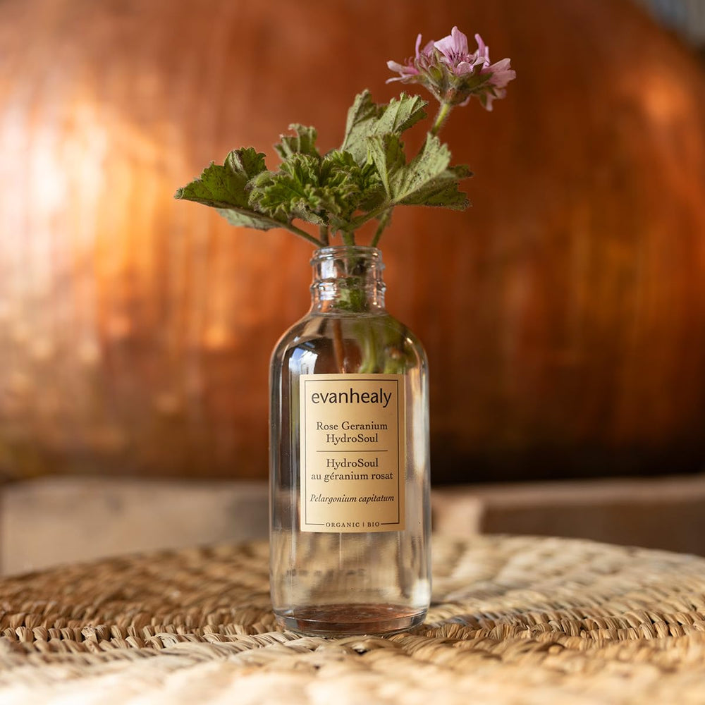 Evanhealy Rose Geranium HydroSoul leaves image highlights natural ingredients for moisture balance.