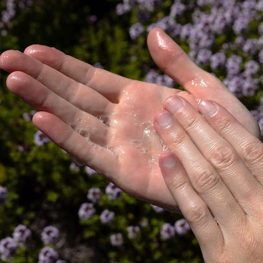 evanhealy Tea Tree Gel Cleanser sea-buckthorn image hints at nourishing botanicals