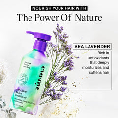 EVANYC Lazy Jane application on hair demonstrates an easy step for enhanced smoothness and touchable softness.