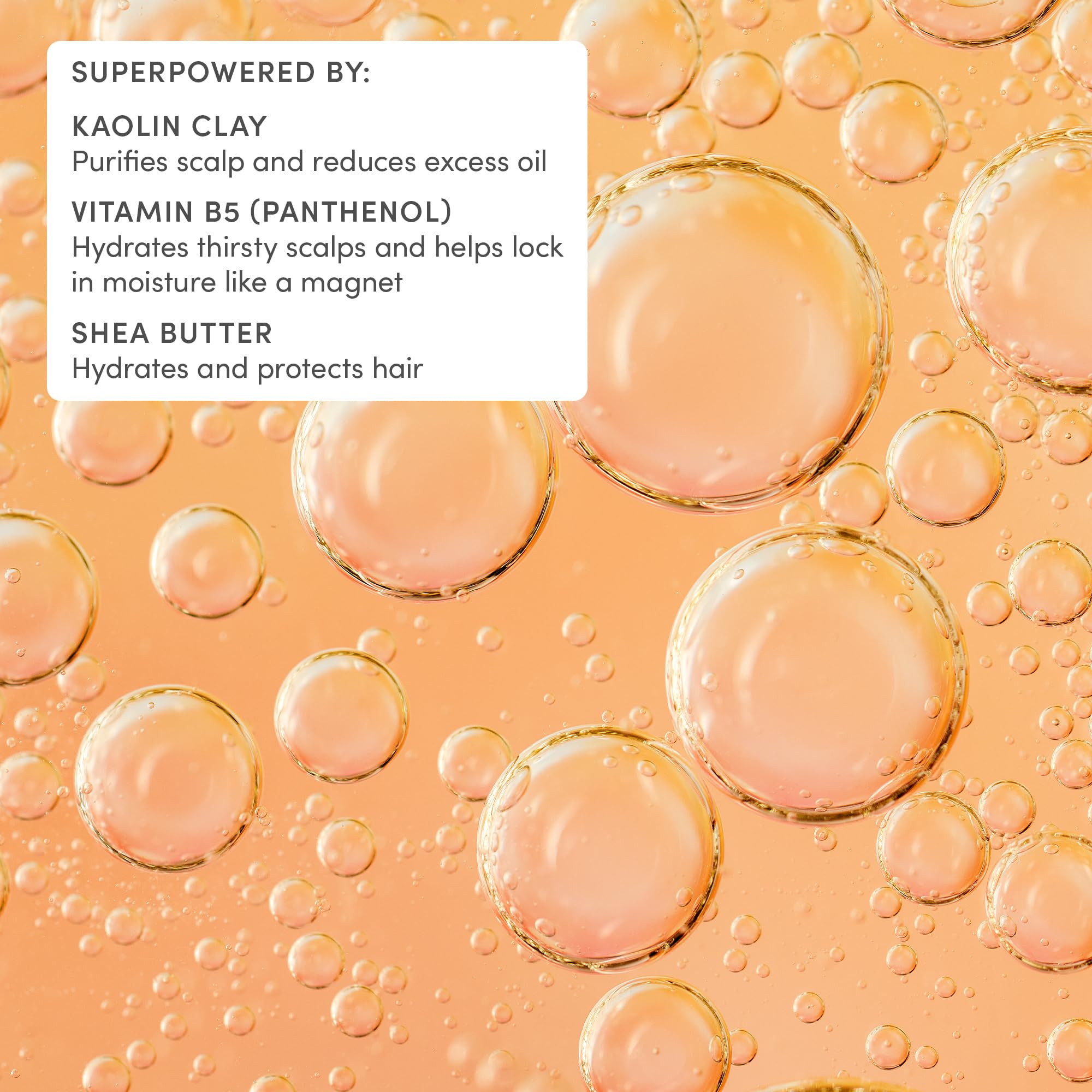 Evereden Family-use shampoo bottle in a family setting