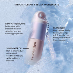 Evereden lip oil with chaga-mushroom-ceramides highlighted for nourishing winter lips