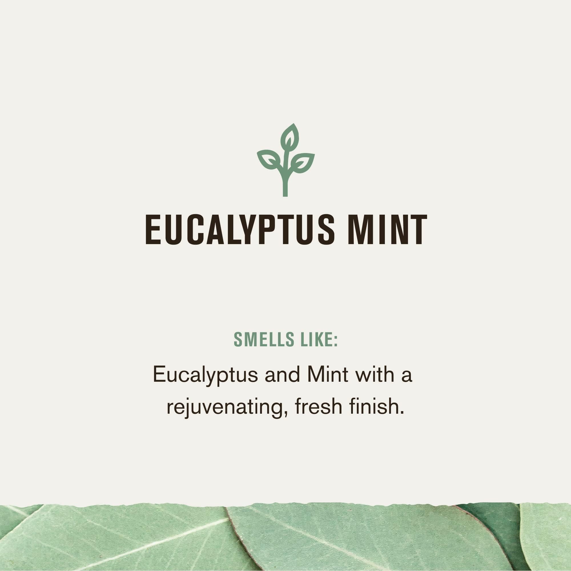Every Man Jack eucalyptus mint pack two bottles emphasizes value for daily use
