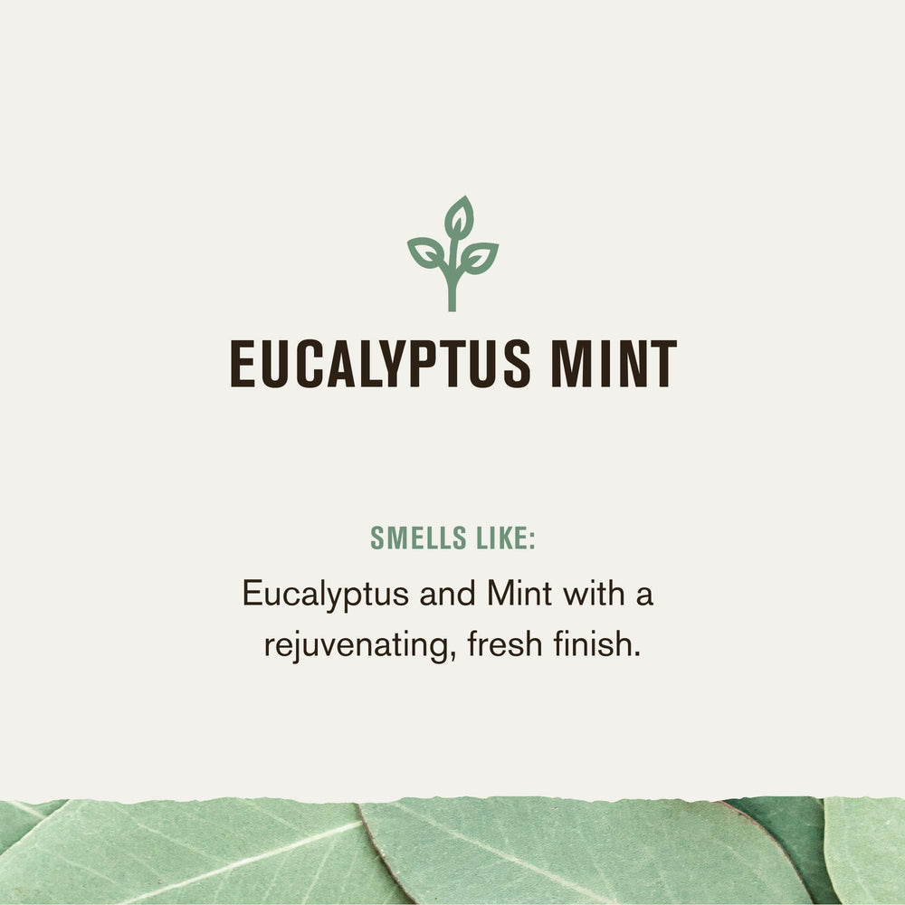 Every Man Jack eucalyptus mint pack two bottles emphasizes value for daily use