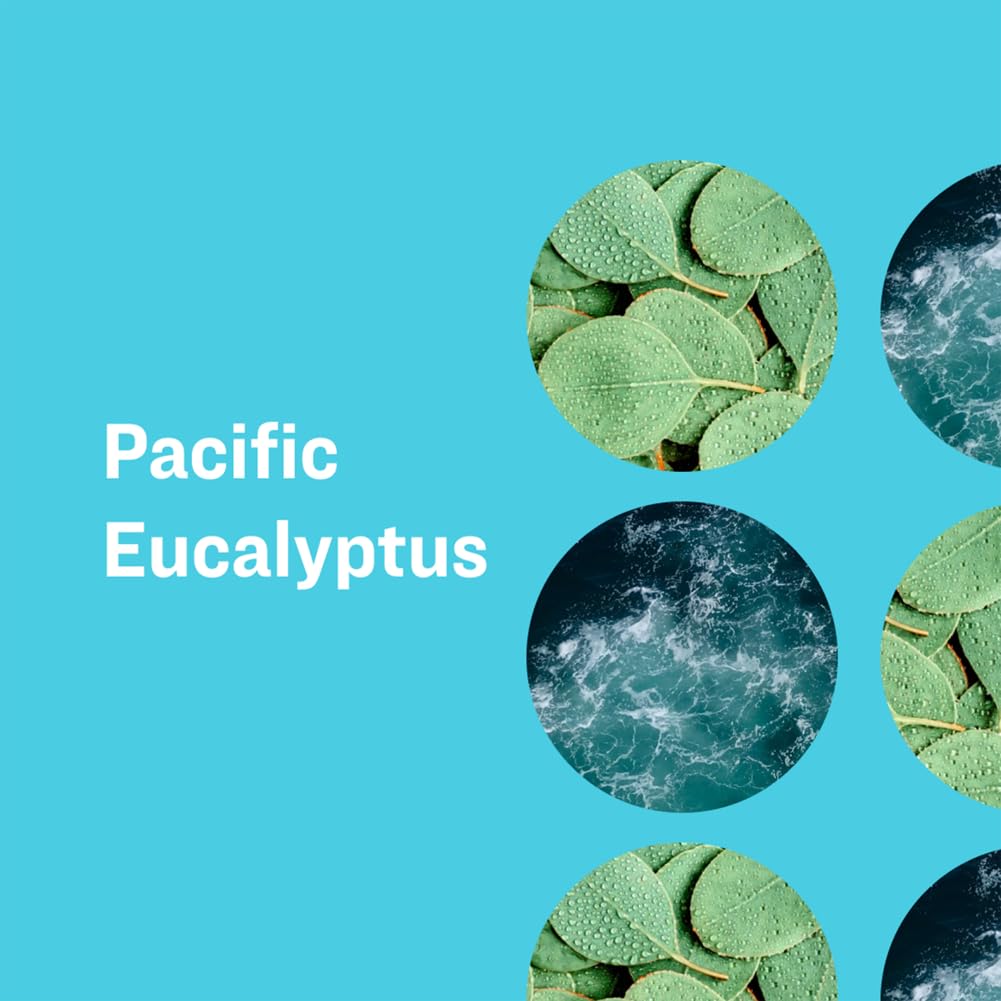 Everyone for Every Body Pacific Eucalyptus packaging features compact, travel-friendly design.