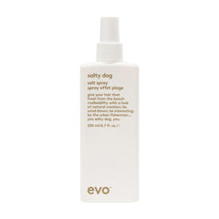 EVO Salty Dog Salt Spray close-up showing beach texture and matte finish.