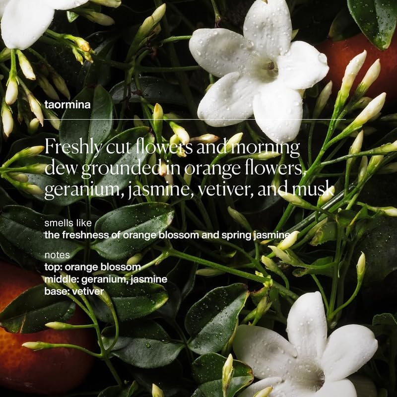 evolvetogether plant-powered-sweat-absorption uses enzymes and starch for freshness