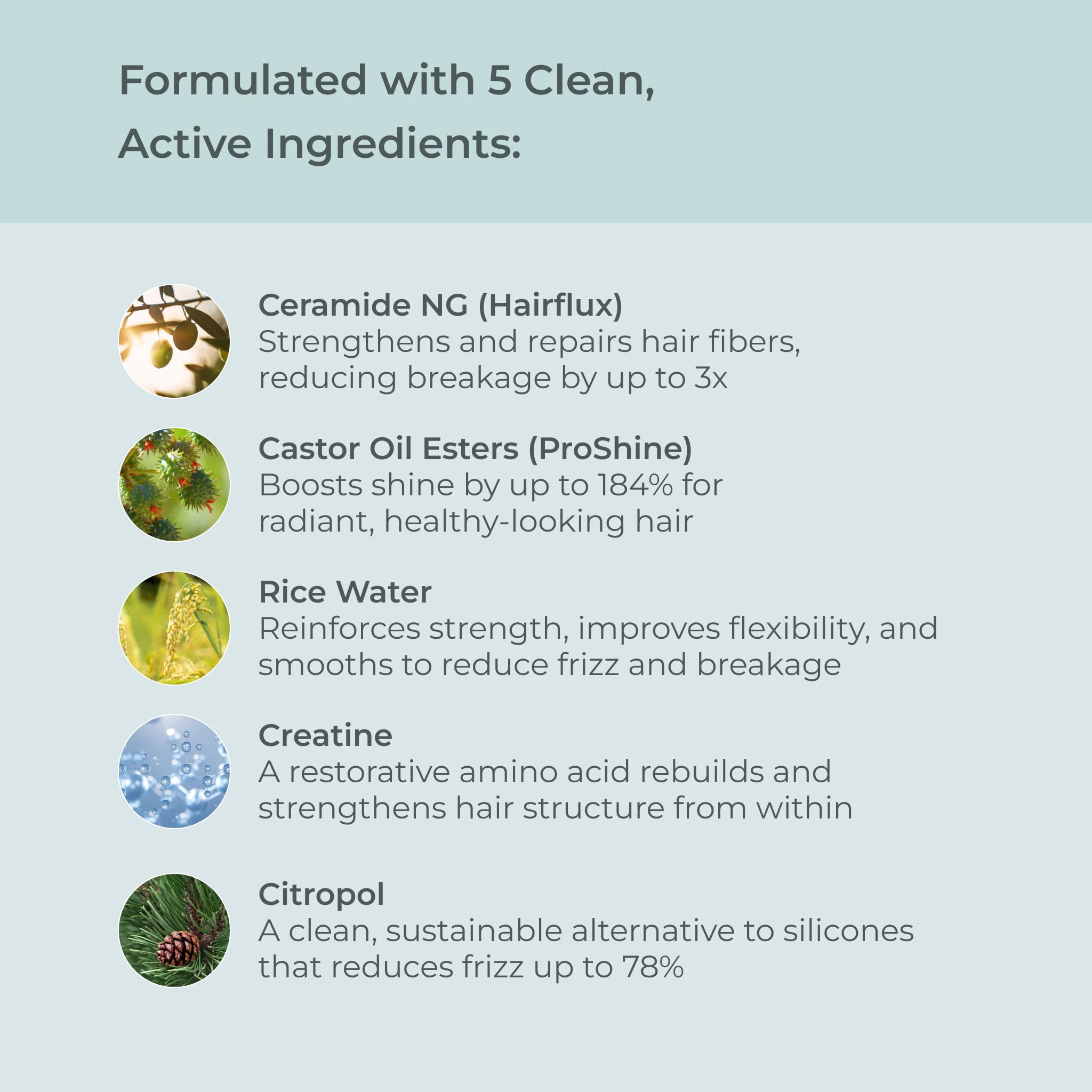EVOLVh UltraShine Moisture Shampoo packaging showcases sustainable, clean beauty.