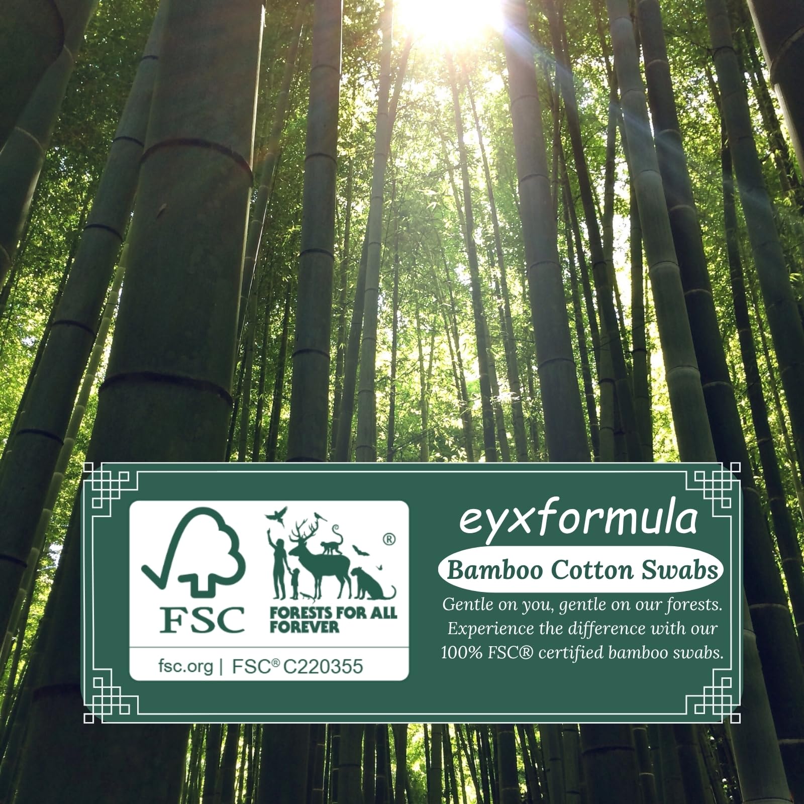 eyxformula long cotton swabs precision tip closeup highlights accurate placement and control.
