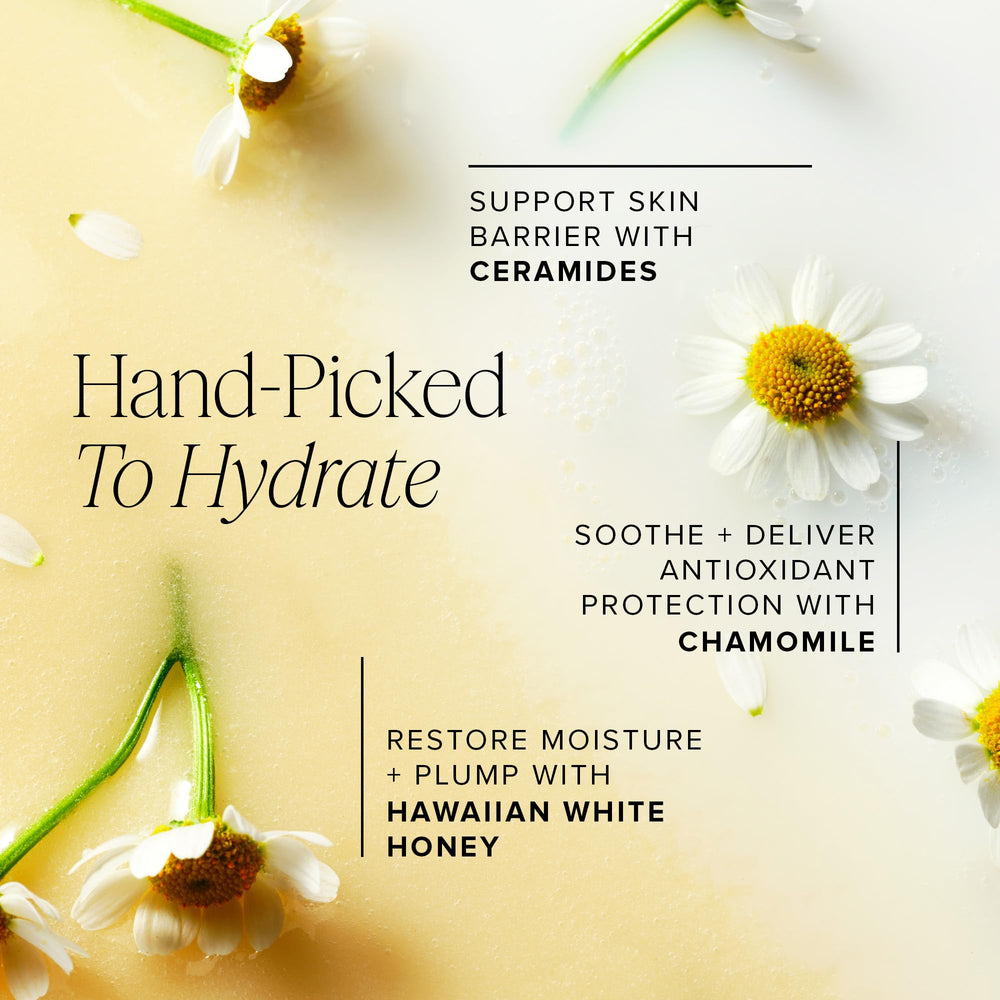 Farmacy Chamomile calming extract in focus for soothing routines