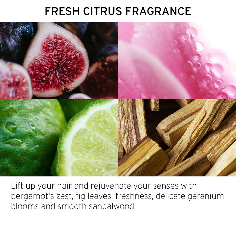 Fekkai Humidity Resistance mist protects against frizz in humidity
