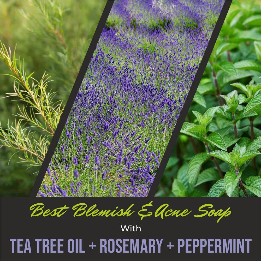 Tea tree, peppermint, and rosemary ingredients highlight natural cleansing and skin feel.