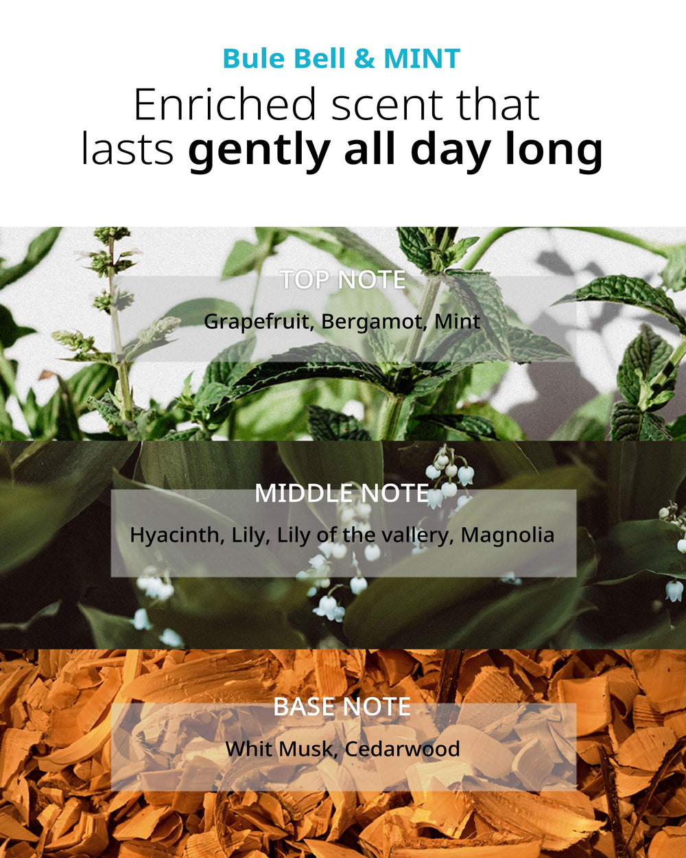 FIT YOUR SKIN SAN TTEUT aquaporin feature emphasizes hydration and balance