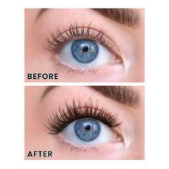 FlutterHabit Water Lily Lash Clusters six-sets display highlights a 30-day supply.