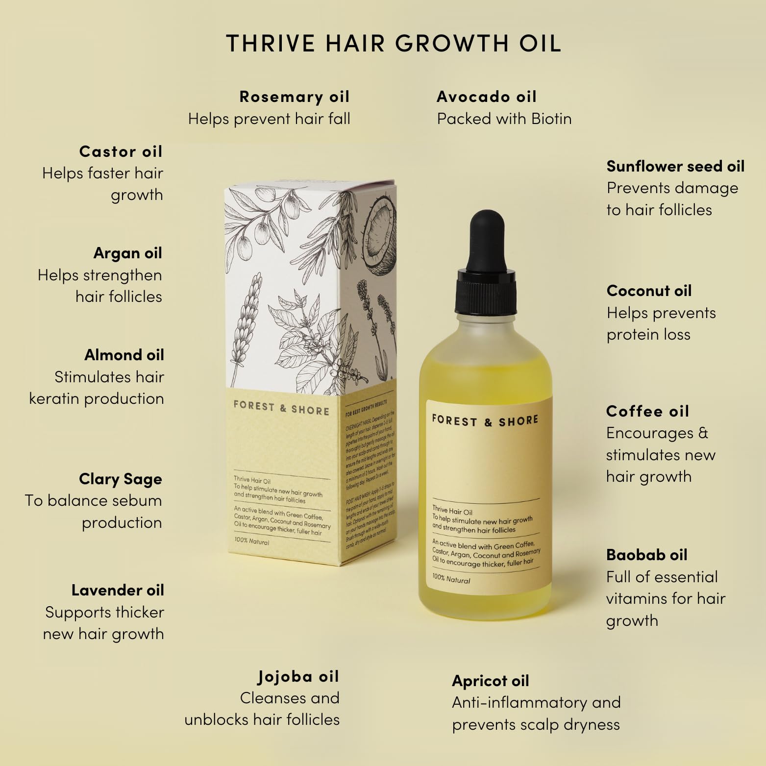 Forest & Shore olive oil ingredients scene supports moisture and resilience