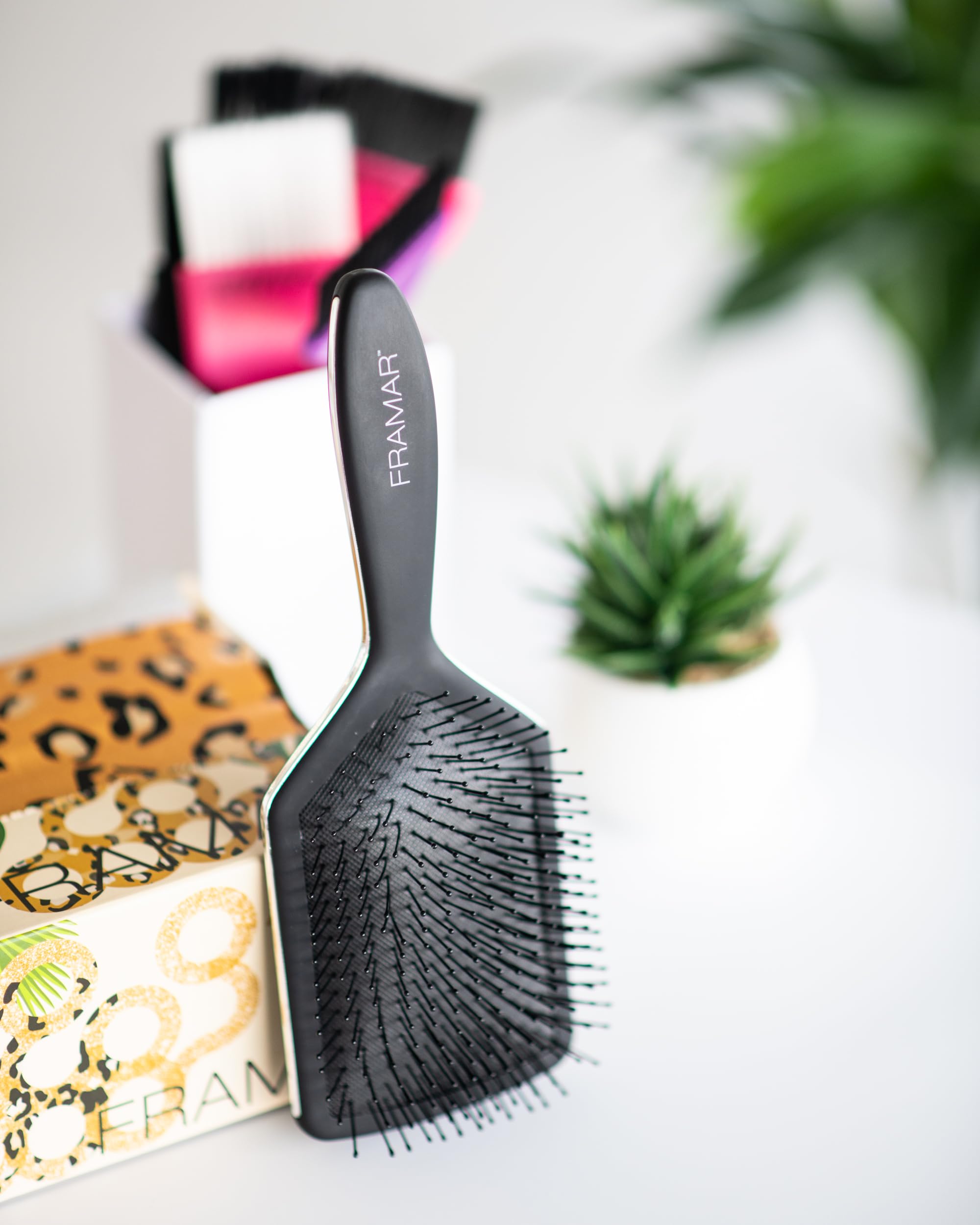 FRAMAR Paddle Brush displays elegant Silver Lining design