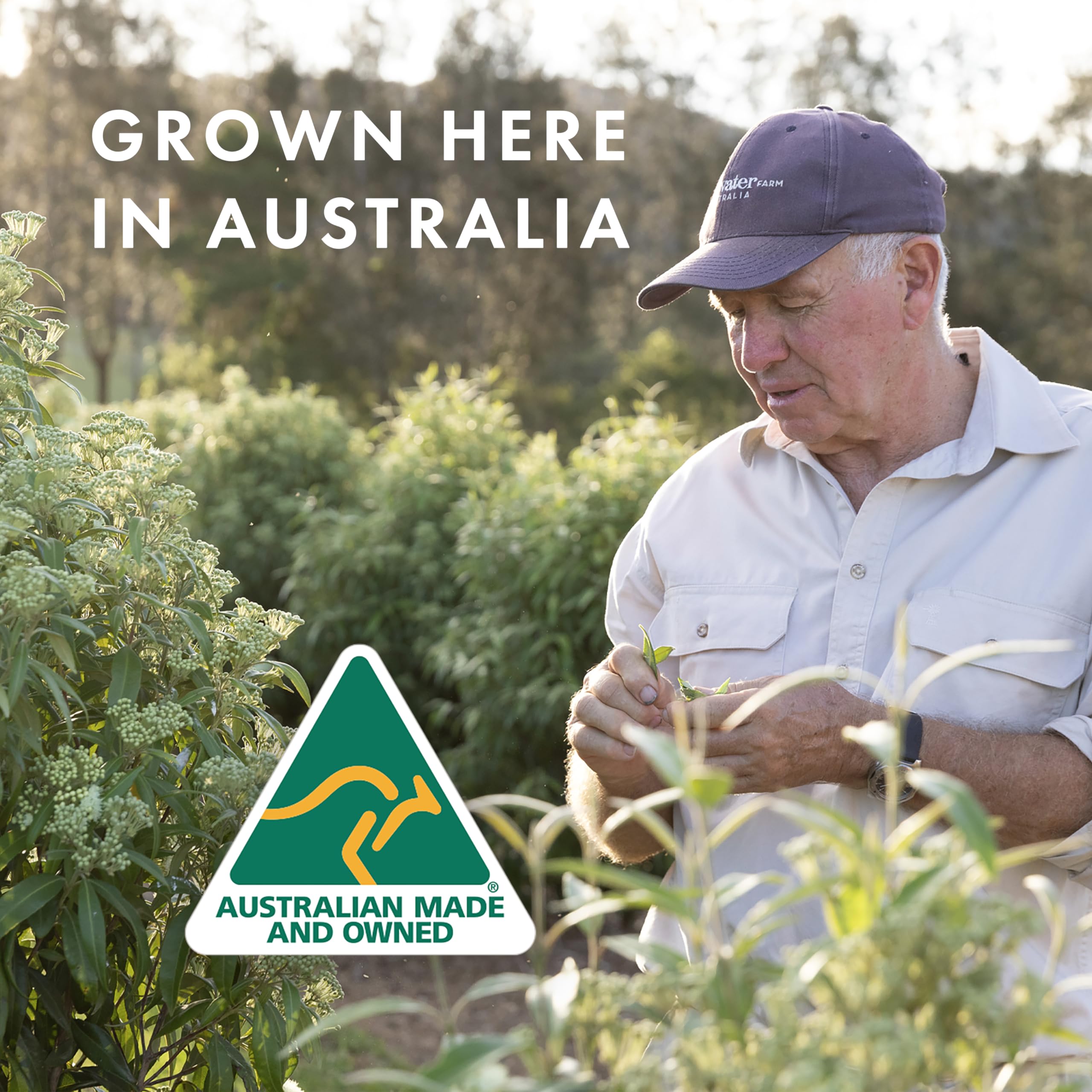 Freshwater Farm Australia golden Manuka honey specks suggesting nourishing, skin-friendly benefits.