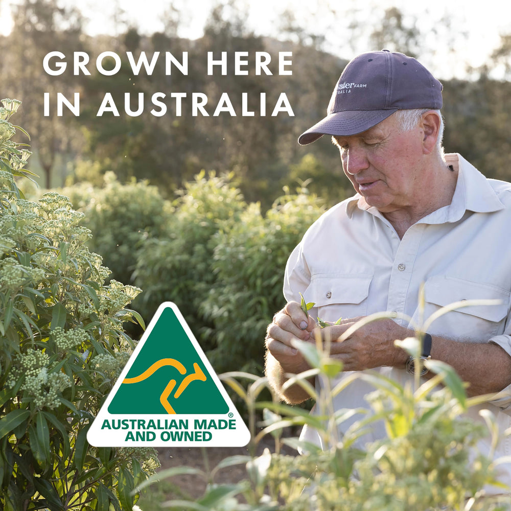 Freshwater Farm Australia golden Manuka honey specks suggesting nourishing, skin-friendly benefits.