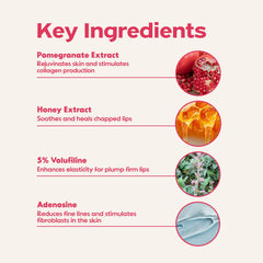 FRUDIA Pomegranate Honey Lip Balm applied on lips delivering pinkish tint and natural glow