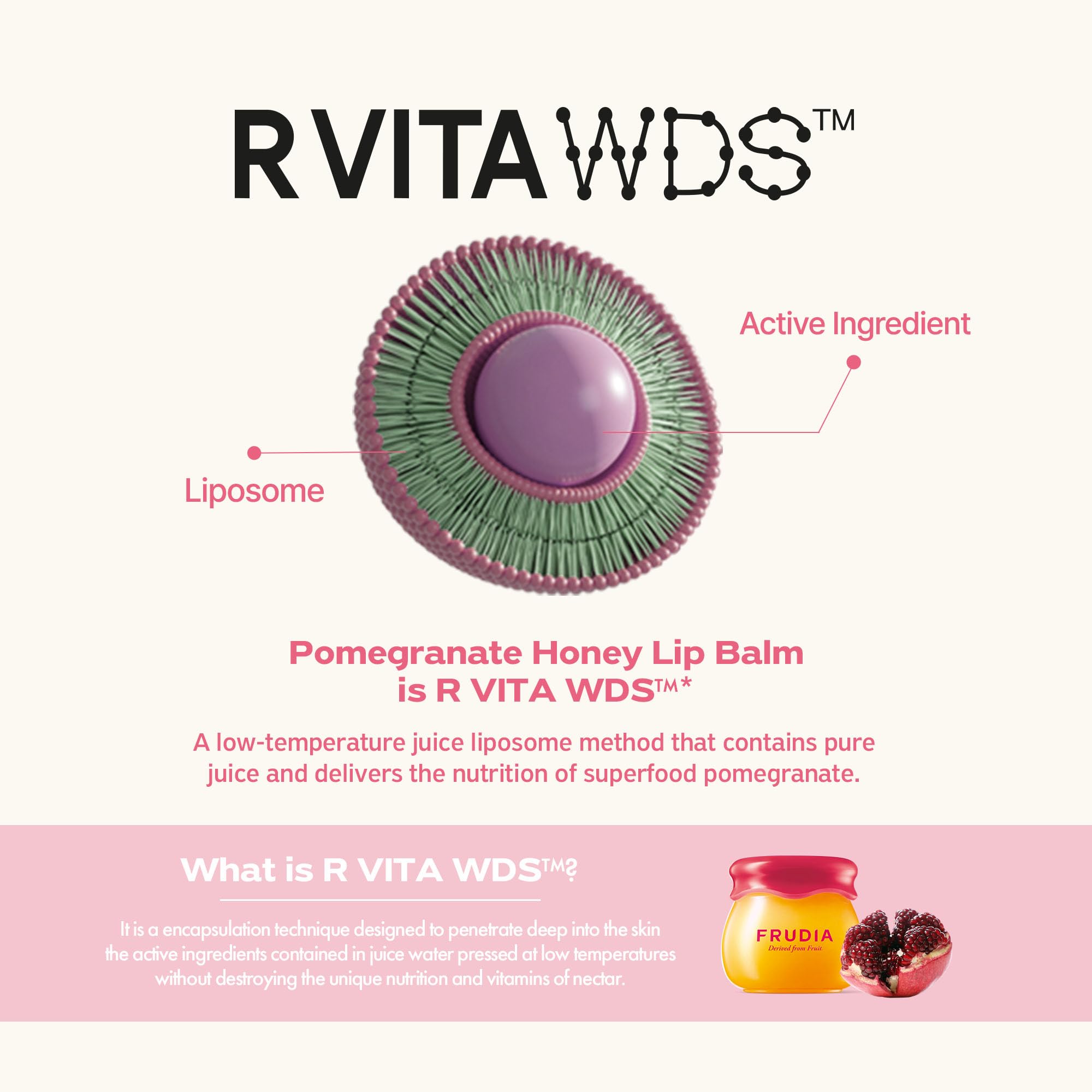 FRUDIA Pomegranate Honey Lip Balm packaging close-up showcasing premium Korean lip care for daily use