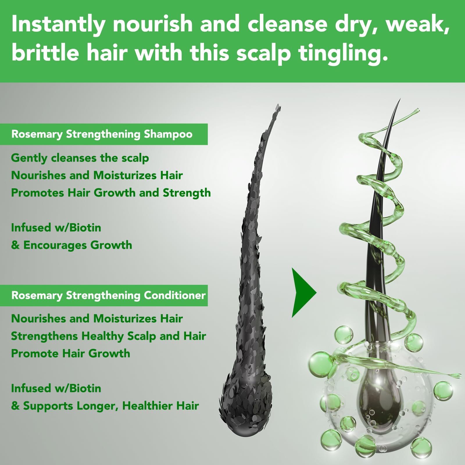 FSLHCY rosemary mint shampoo label with biotin-enriched formula for stronger-looking hair