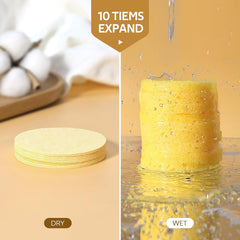 Gainwell sponges for professional esthetician use, spa-quality cleansing