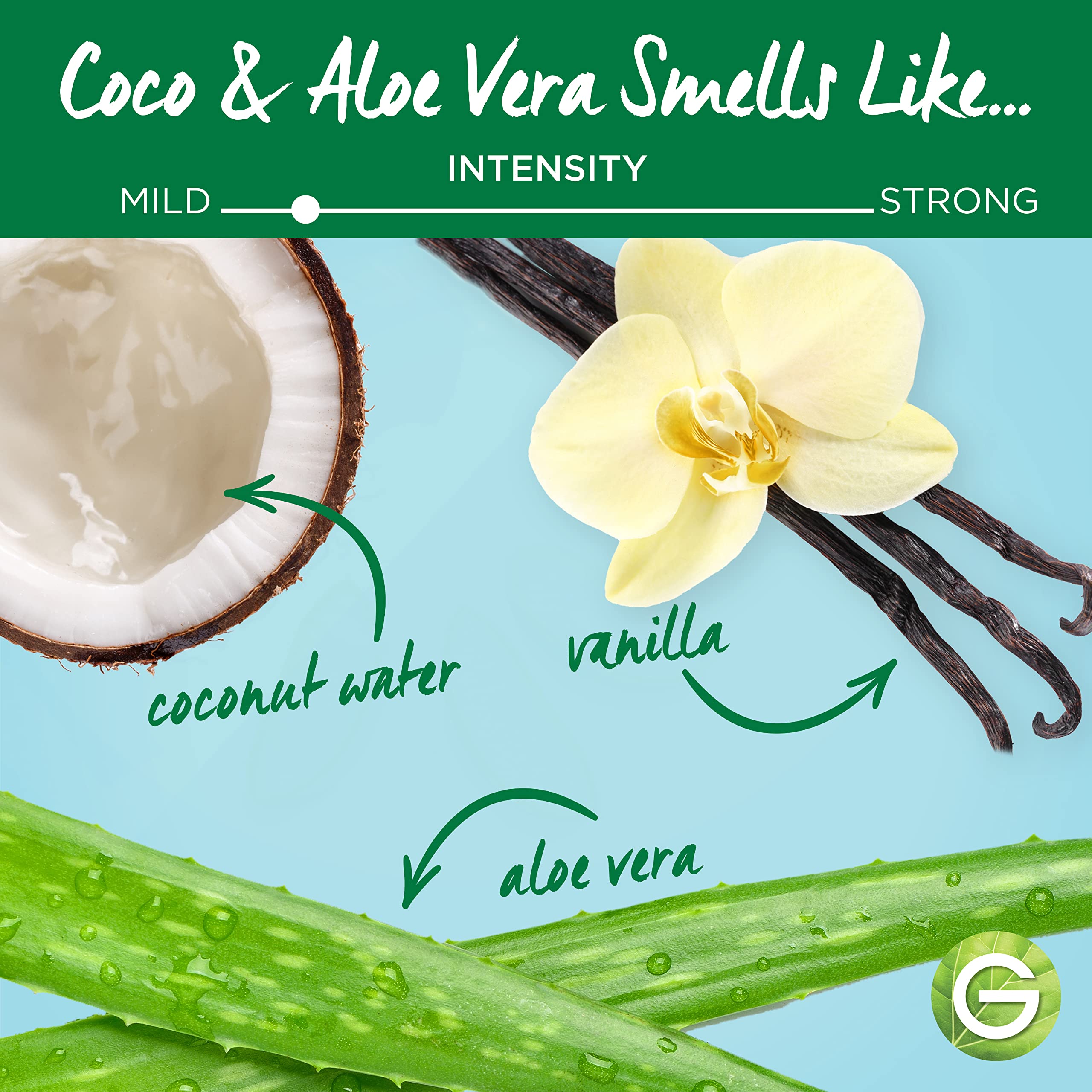 Garnier Whole Blends Coco & Aloe Vera ingredients highlight natural, plant-based care.