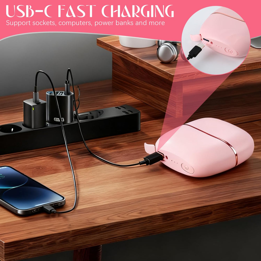 Generic Mini Straightener travel-ready case keeps it safe during trips.