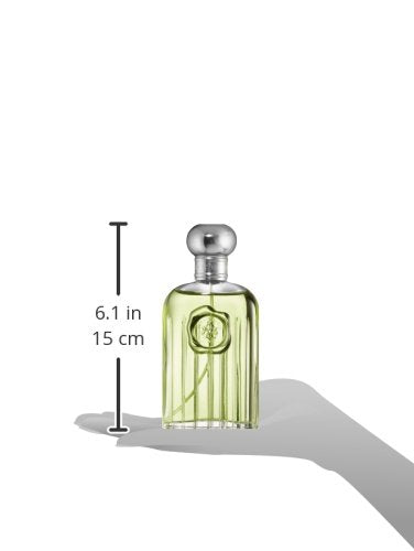 Giorgio Beverly Hills grooming scene, suitable for casual social events.