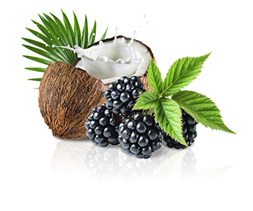 GIOVANNI 2chic Berry-Coconut Milk ingredient depiction for nourishing hair repair