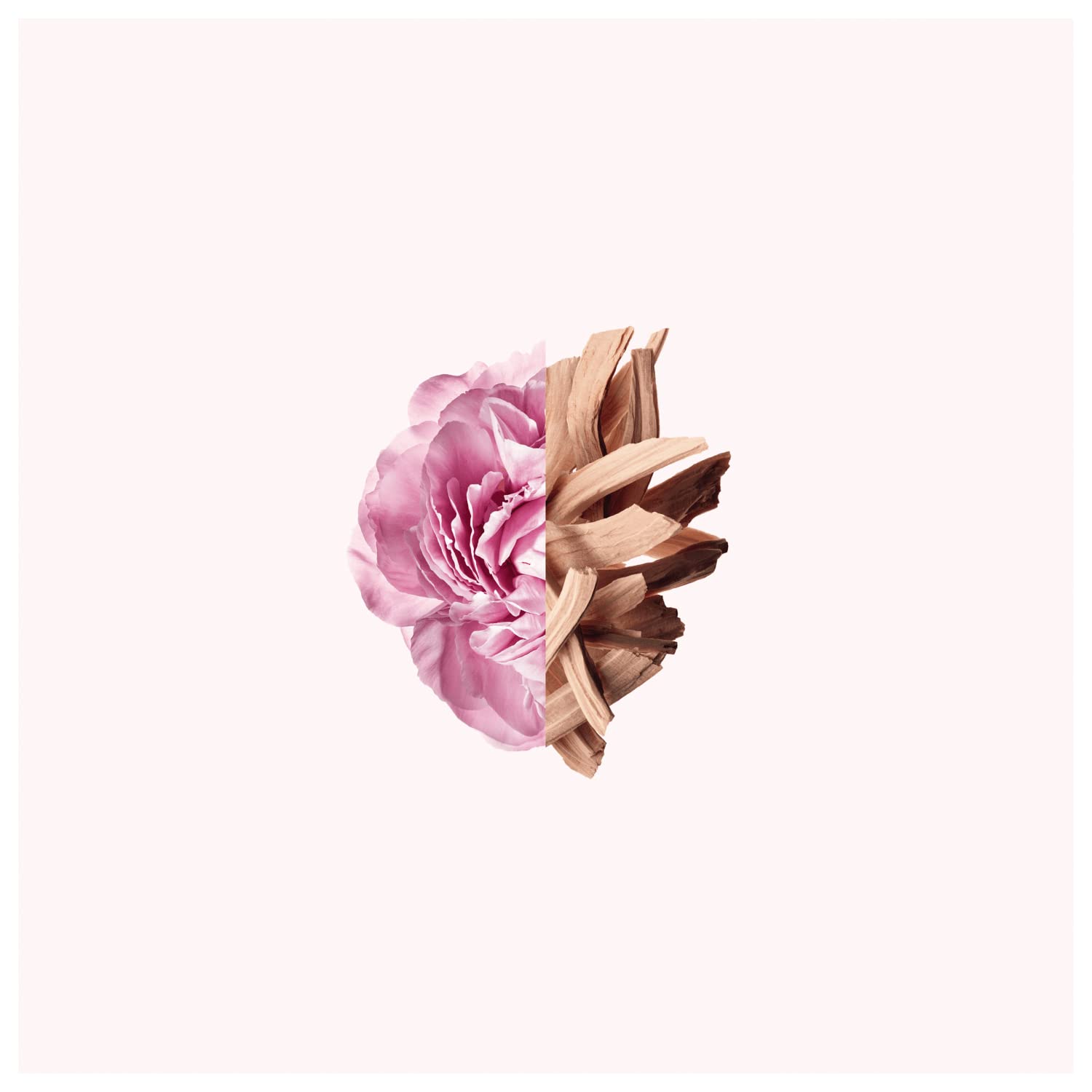 Givenchy Irresistible ambrette-base reveals warm, lasting depth.