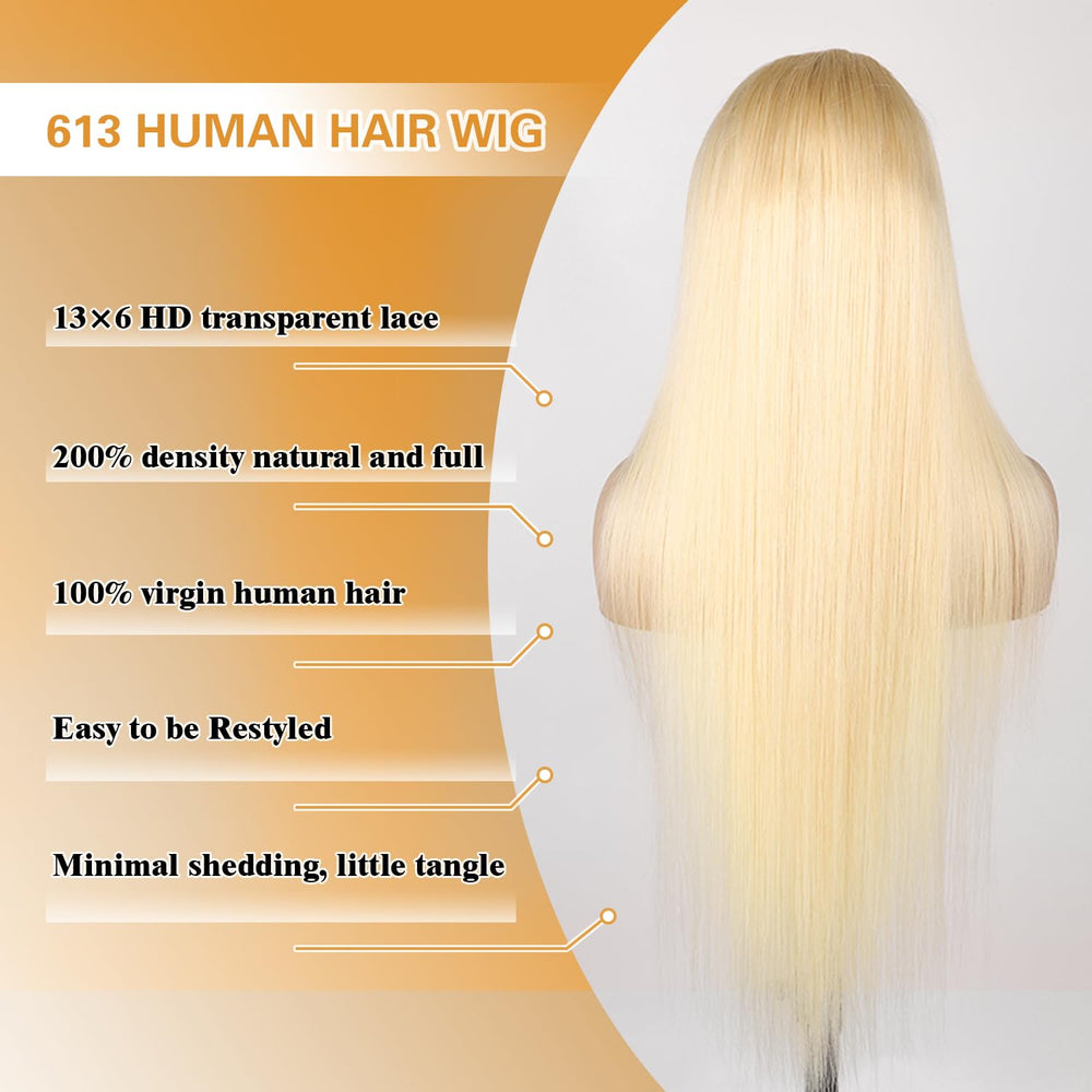 Goalroya 613 wig cap construction four combs and elastic net for secure fit.