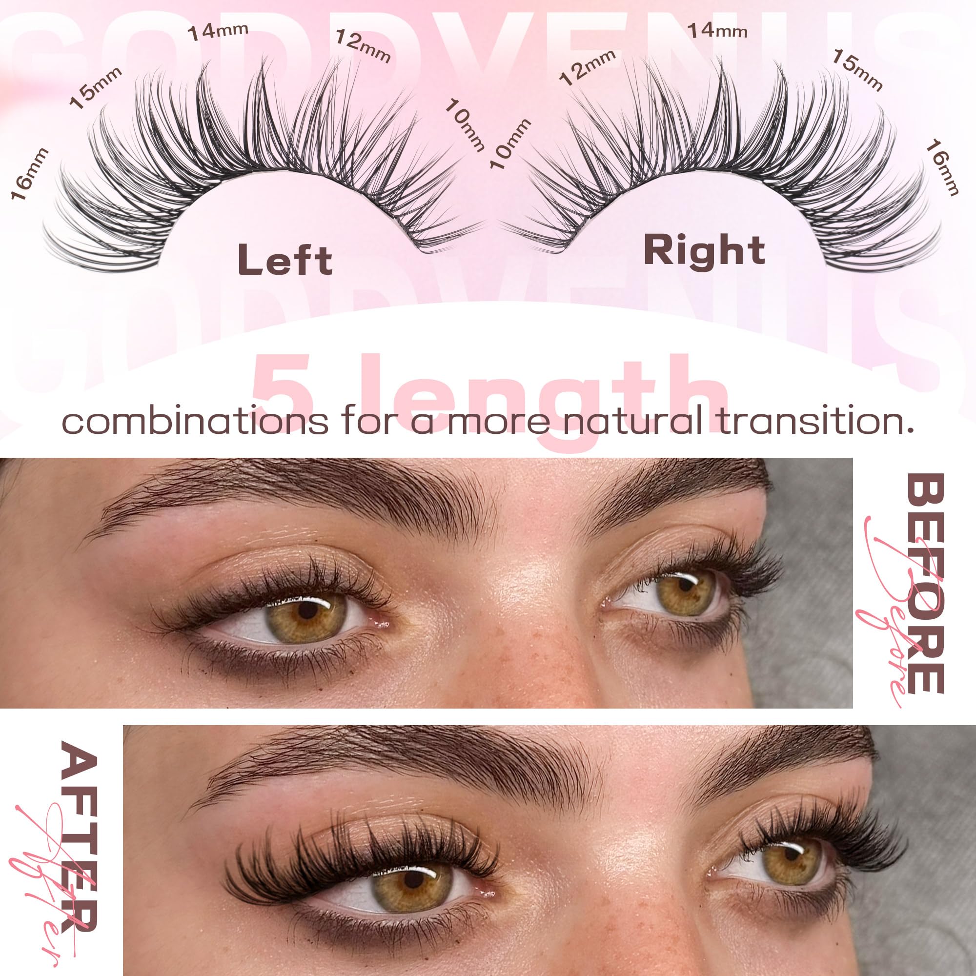 Goddvenus apply lashes at home using DIY cluster kit for glam yet comfortable look