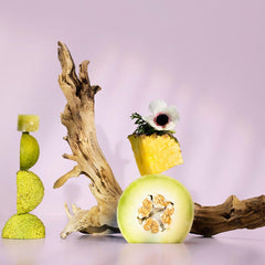 Good Chemistry Coco Blush ingredients display coconut water pineapple driftwood for a refreshing aura
