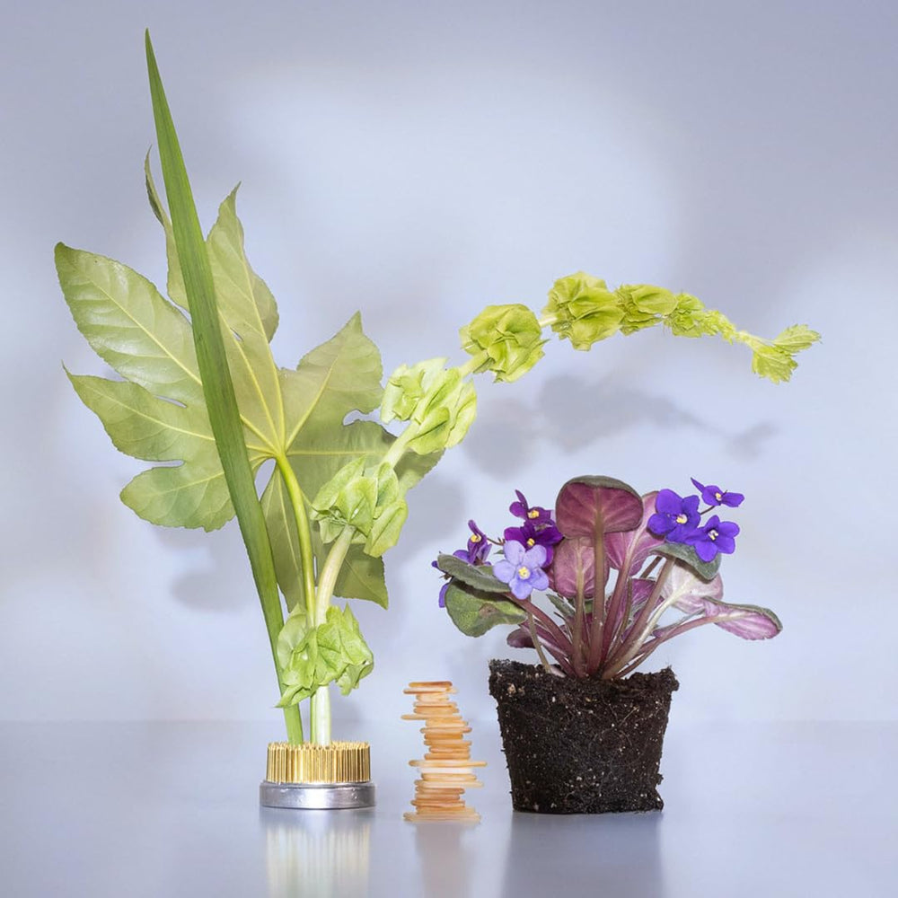 Good Chemistry Magnolia Violet close-up highlights magnolia and peony notes